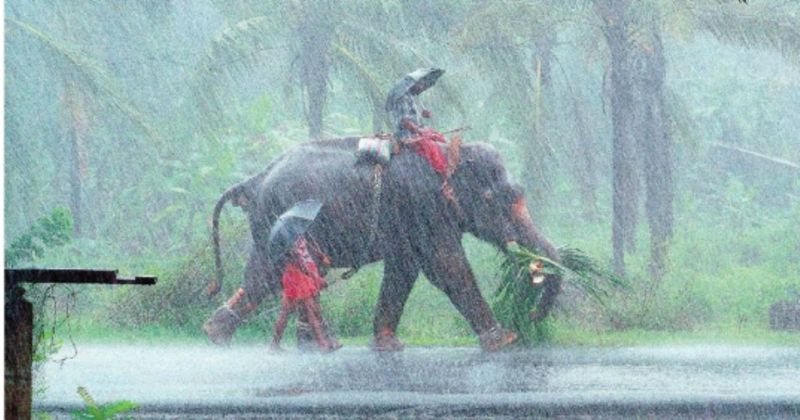 covid 19 heavy rain fall expected in kerala next week