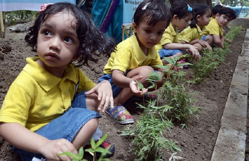 Now plant trees to get passing certificates in Philippines