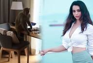 monkey enters in actress soundarya room