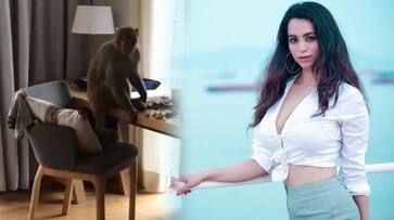 monkey enters in actress soundarya room