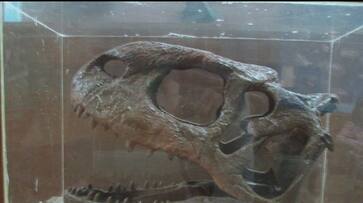 India gets its first dinosaur museum in Gujarat