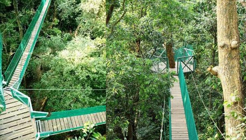 With No Road Access No Trekkers For Dandeli Canopy Walk