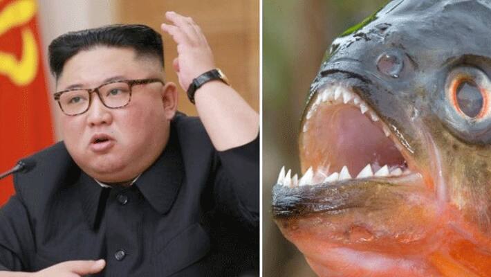 Kim Jong-un throws general into piranha-filled fish