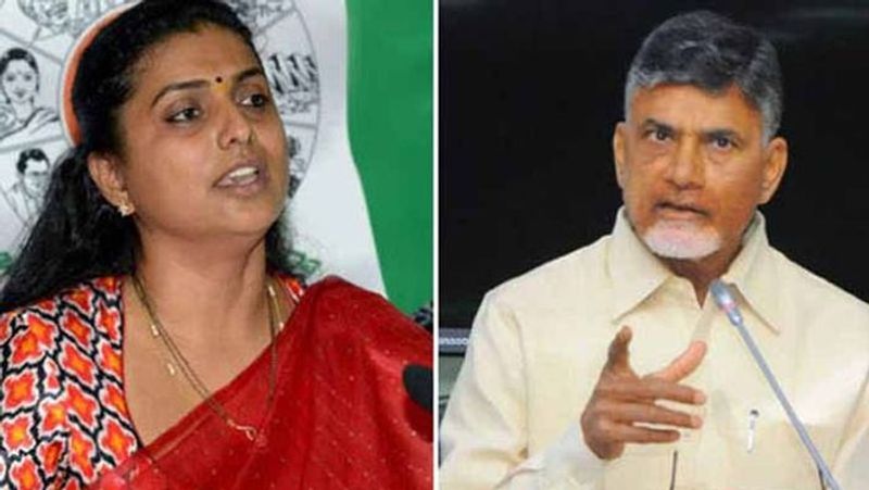 Ap Assembly:Ysrcp mla R.K.Roja slams former cm Chandrababu naidu