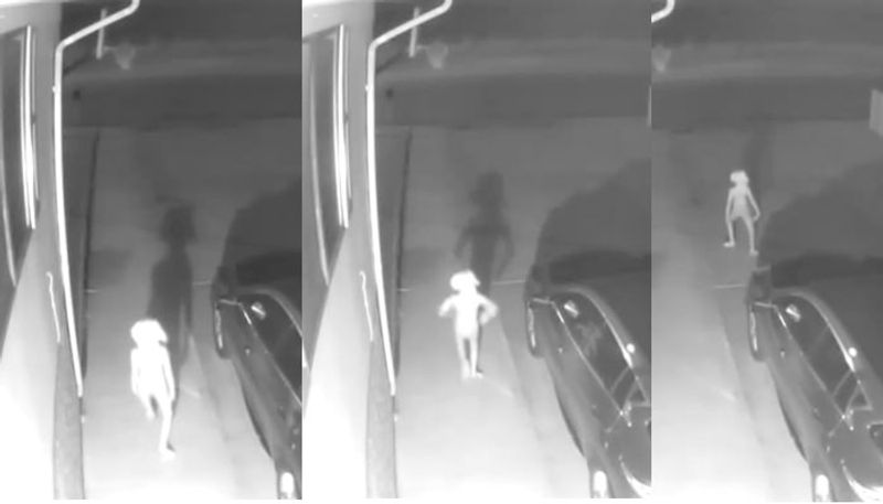 alien caught on CCTV  video goes viral