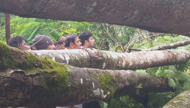 Monsoon Appears In Chikmagalur Heavy Rain Lashes