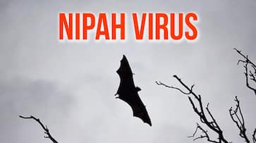 Puducherry Nipah suspect still critical epidemiologists list out people came contact patient