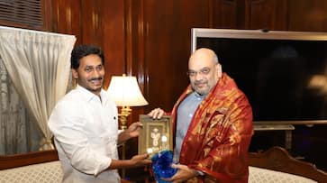 Jagan requests Shah to soften PM Modis heart on Andhra Pradeshs special category status