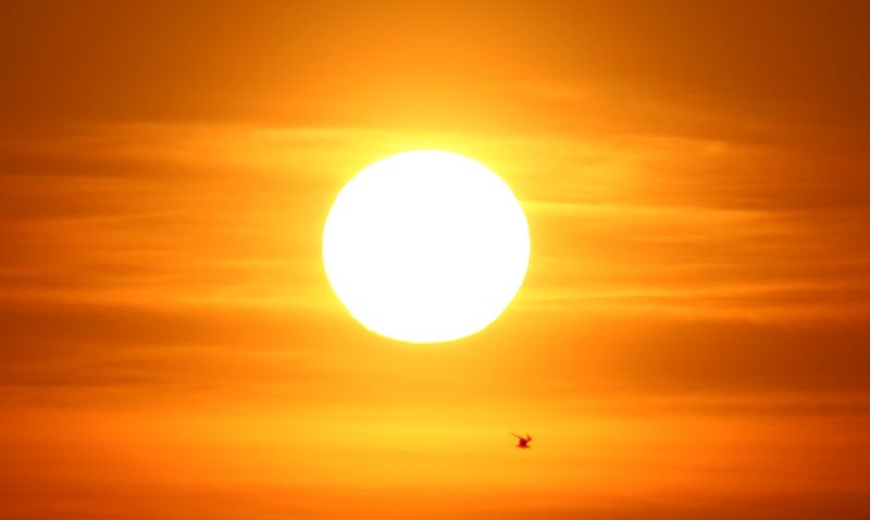 The sun has been without spots for 16 consecutive days