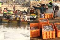 Tamil Nadu fishermen return big catch small income seek govt intervention