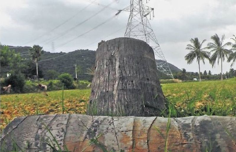 Small village affected from electric tower near erode