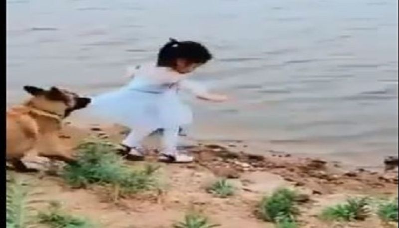 Viral video of dog saving girl from falling into deep water