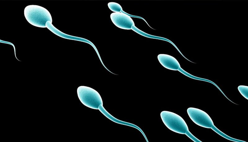 Want to Test Your Sperm? There's an App for That