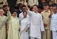 will bsp and congress make alliance in Haryana!