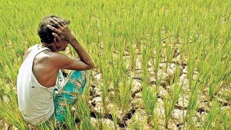 Banks Send Notice to Dead Farmers Family