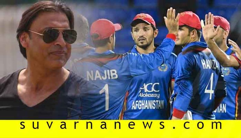 World Cup 2019 Shoaib Akhtar gives fitting reply to Afghanistan cricket CEO