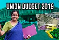 Union Budget 2019: 9 interesting facts that leave you asking for more