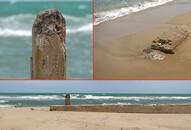 Remnants of submerged British-era bridge reappears after 50 years in Dhanushkodi