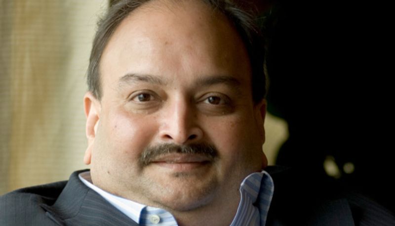 Mehul Choksi tops wilful defaulter list with Rs 7,848 crore default Check out full list gcw