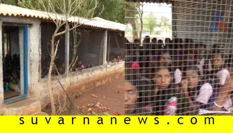 BIG 3 Bagalkot School Runs in Poultry Farm