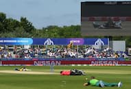 World Cup 2019 Bees stop South Africa-Sri Lanka contest Durham