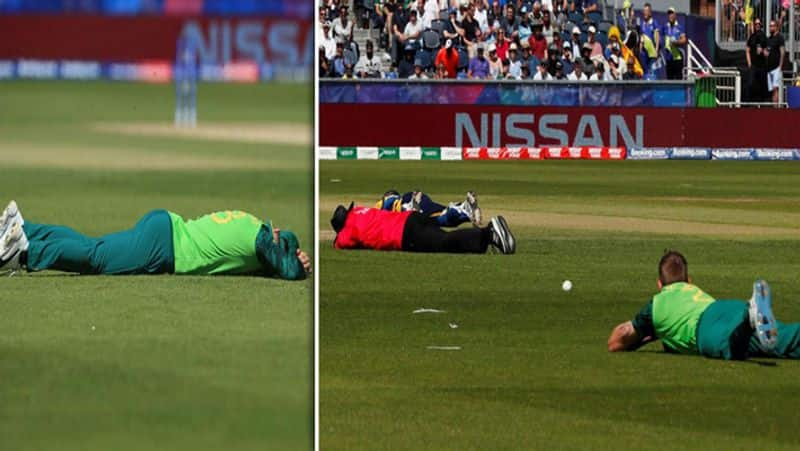 Cricket Players on Ground Attacked by Bee