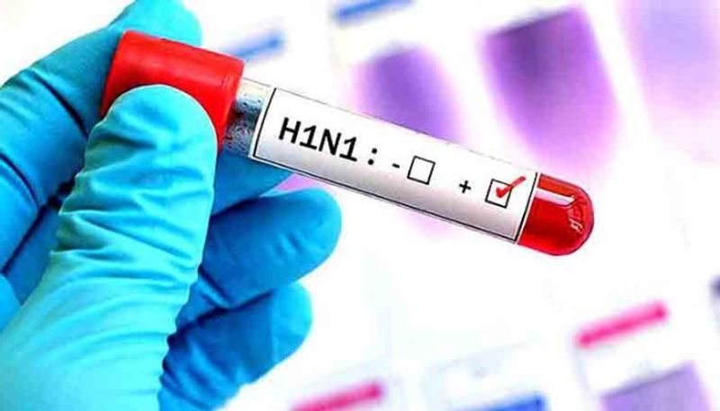 H1N1 disease fear bangalore company shuts for a month