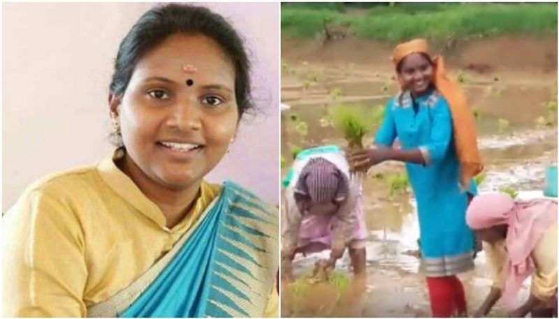 Alathoor M P Remya Haridas driving tractor in paddy field