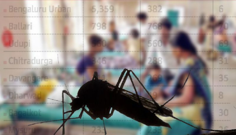 Dengue menace: Here's a list of what to eat and what not to, in order to recover quickly