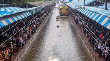 Mumbai suburban train services affected tree falls Mulund station