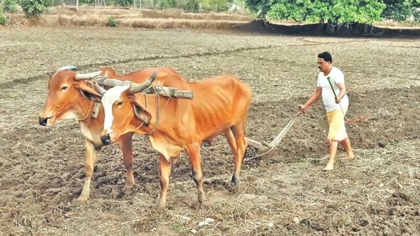 सांसद बन गए लेकिन नहीं बदली लाइफ स्टाइल, खेत की जोताई में कुछ यूं जुट गए नेता जी
