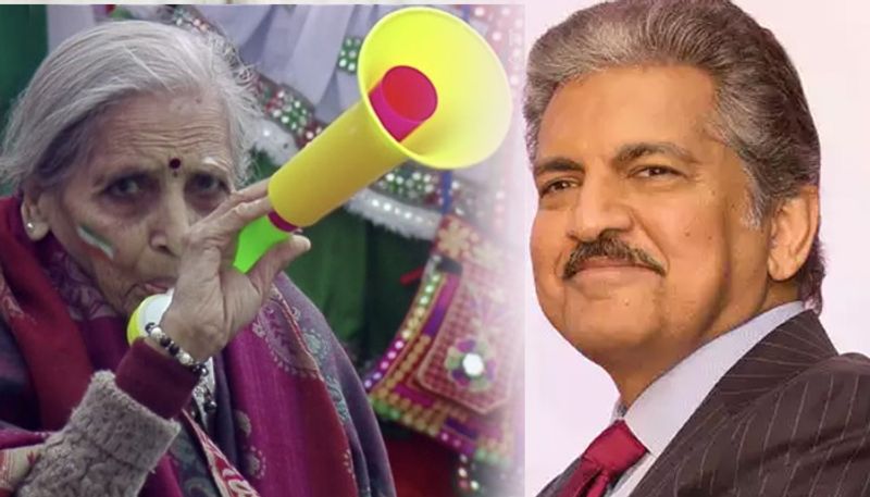 Anand Mahindra Offers To Sponsor Tickets For Match Winning Elderly Indian Fan