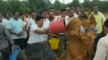 Congress MLA throws mud on government engineer in Maharashtra