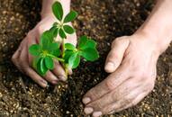 All for Mother Nature! Auto driver in Kerala has planted 23,000 saplings over 20 years!