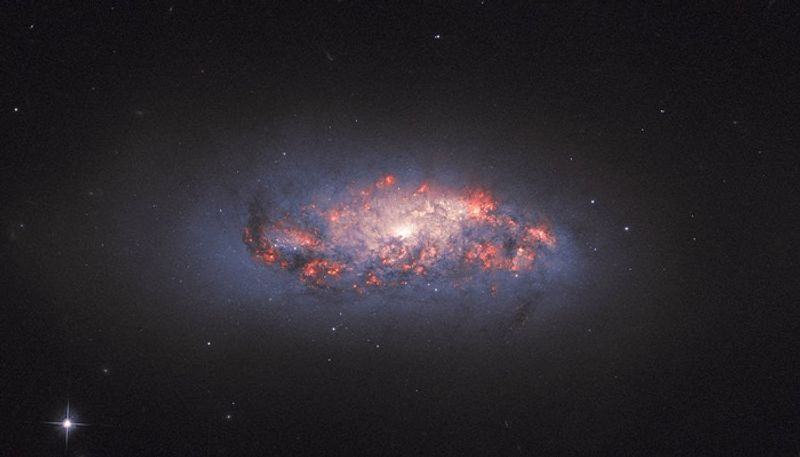 Hubble Watches Stars in Bloom In NGC 972