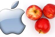 Social media splits Pakistani anchor confuses Apple Inc with fruit