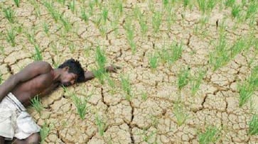 Odisha government no water reservoir irrigation after 3 farmers death