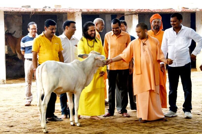 गोवंश की रक्षा के लिए मुख्यमंत्री योगी आदित्यनाथ ने निकाला यह तरीका