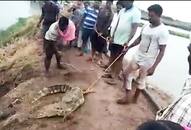 Crocodile killed by Telangana fishermen in Gadwal