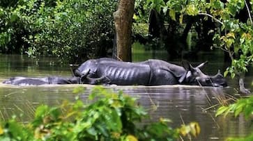 Assam floods PM Modi speaks to CM Sonowal assures Centres support