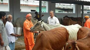 Due to the death of cows, eight officials of Uttar Pradesh is suspended by the Chief Minister