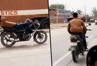 Faridabad youth's bike stunt viral video lands him in trouble