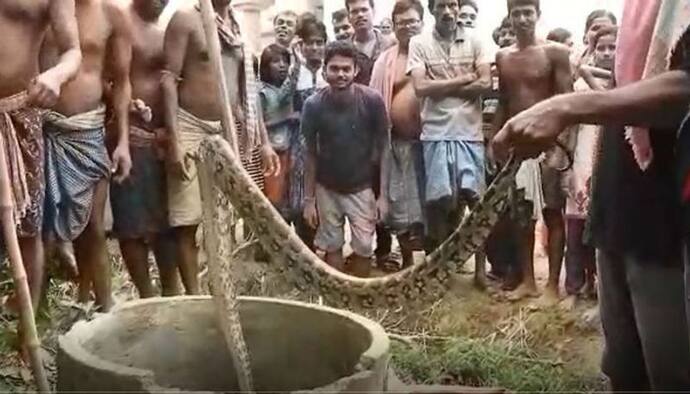 বাড়ির মধ্যেই বারো ফুটের পাইথন, আতঙ্ক পশ্চিম মেদিনীপুরে