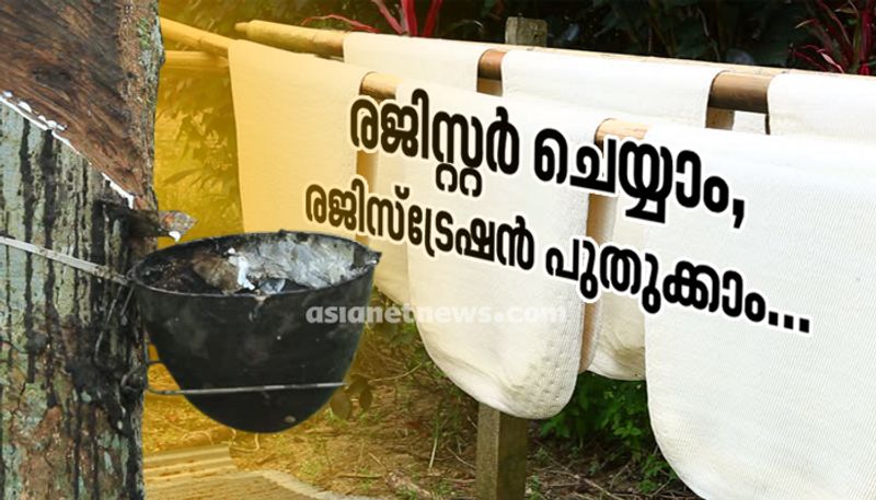 rubber production incentive scheme by Kerala government, fifth stage registration starts