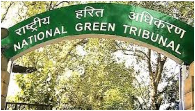 NGT refuses to allow 10 year old diesel vehicles in Delhi NCR