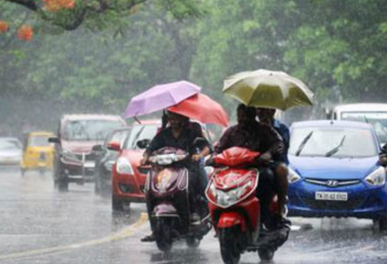 Rain in Chikkamagaluru District