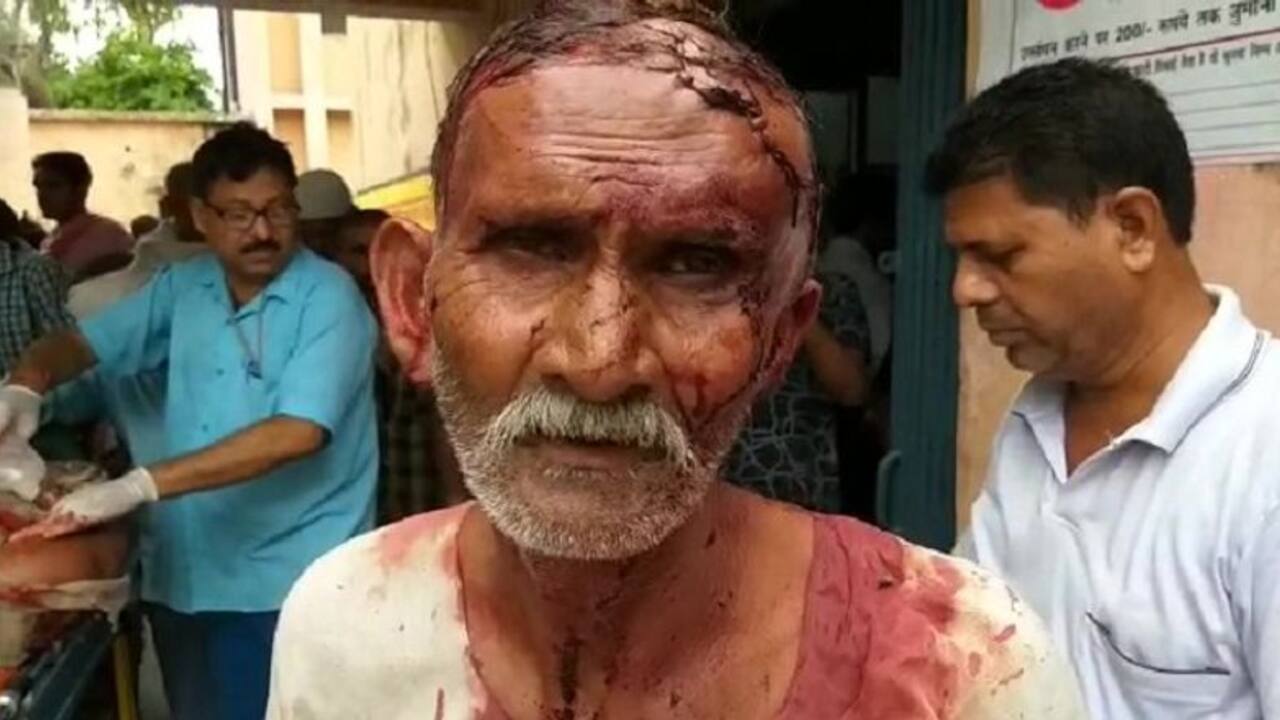 पीलीभीत के गांव में बाघ के हमले से 10 लोग घायल, ग्रामीणों की पिटाई से बाघ की भी मौत
