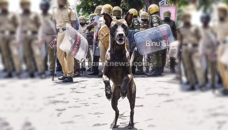 thankful dog picture shared on janamaithri police facebook is viral