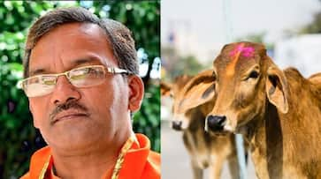 Cows inhale exhale oxygen can cure breathing problems Uttarakhand CM Trivendra Singh Rawat