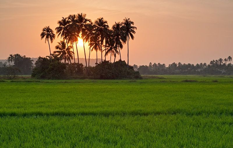 Emotional attachment with Village life